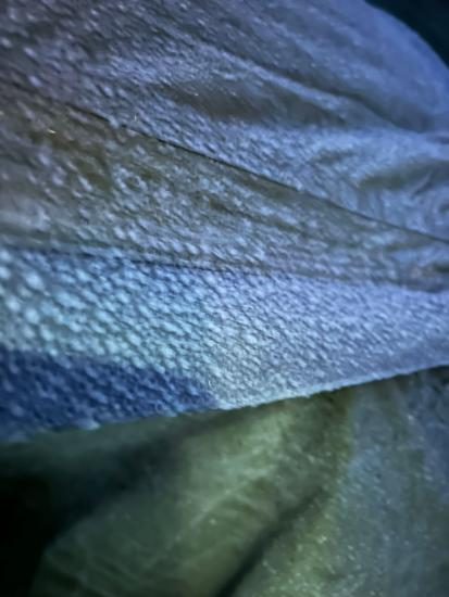 ec2c58e7-d93c-46cf-8adf-67b3e53b366e.jpeg